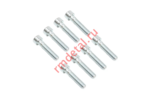 Винт M10x45 DIN 912 88P (8 шт.)