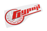 Аппликация правая 110701016