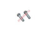 Винт M10x35 DIN 84-48Р (2 шт.)