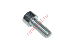 Винт M10x25 DIN 912-88P