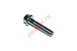 Болт М6х25 7006025LBX