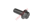 Болт фланцевый M10x25х1.25 01256100256