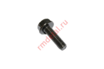 Болт фланцевый M6x1.0x16L GA555SC05