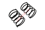 Пружины C40600518 (2 шт)