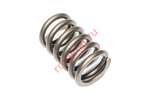 Пружина клапана 21040101001
