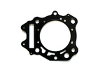 Прокладка головки цилиндра D9900012