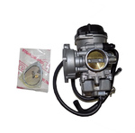 Карбюратор в сборе 924850