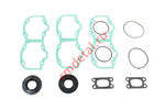 Комплект прокладок RMD0101008