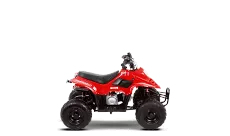 Мотовездеход Рысь 50 (B1)